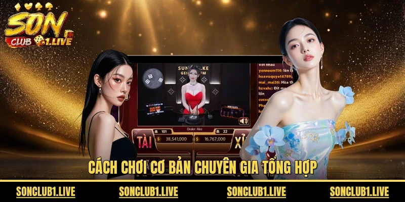 Cách chơi cơ bản chuyên gia tổng hợp