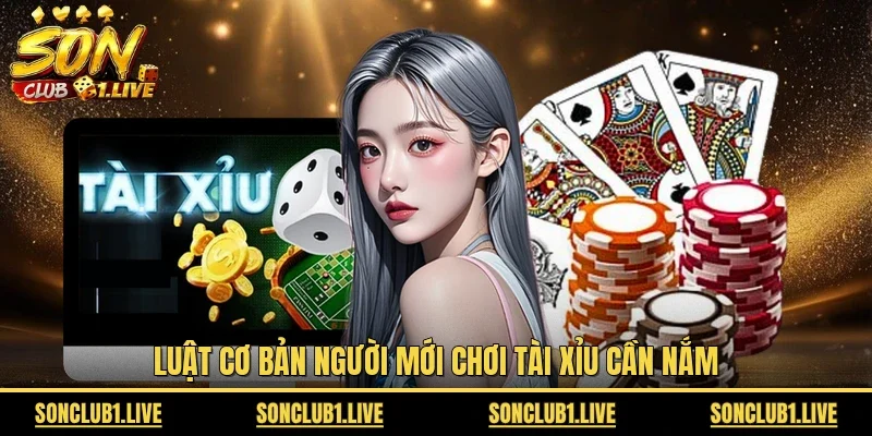 Luật cơ bản người mới chơi tài xỉu cần nắm