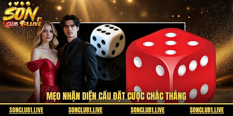 Mẹo nhận diện cầu đặt cược chắc thắng