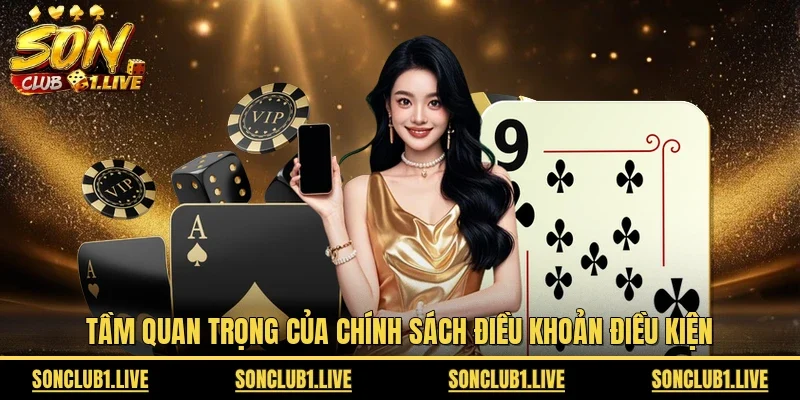 Tầm quan trọng của chính sách điều khoản điều kiện